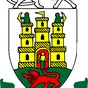 Kilkenny RFC crest